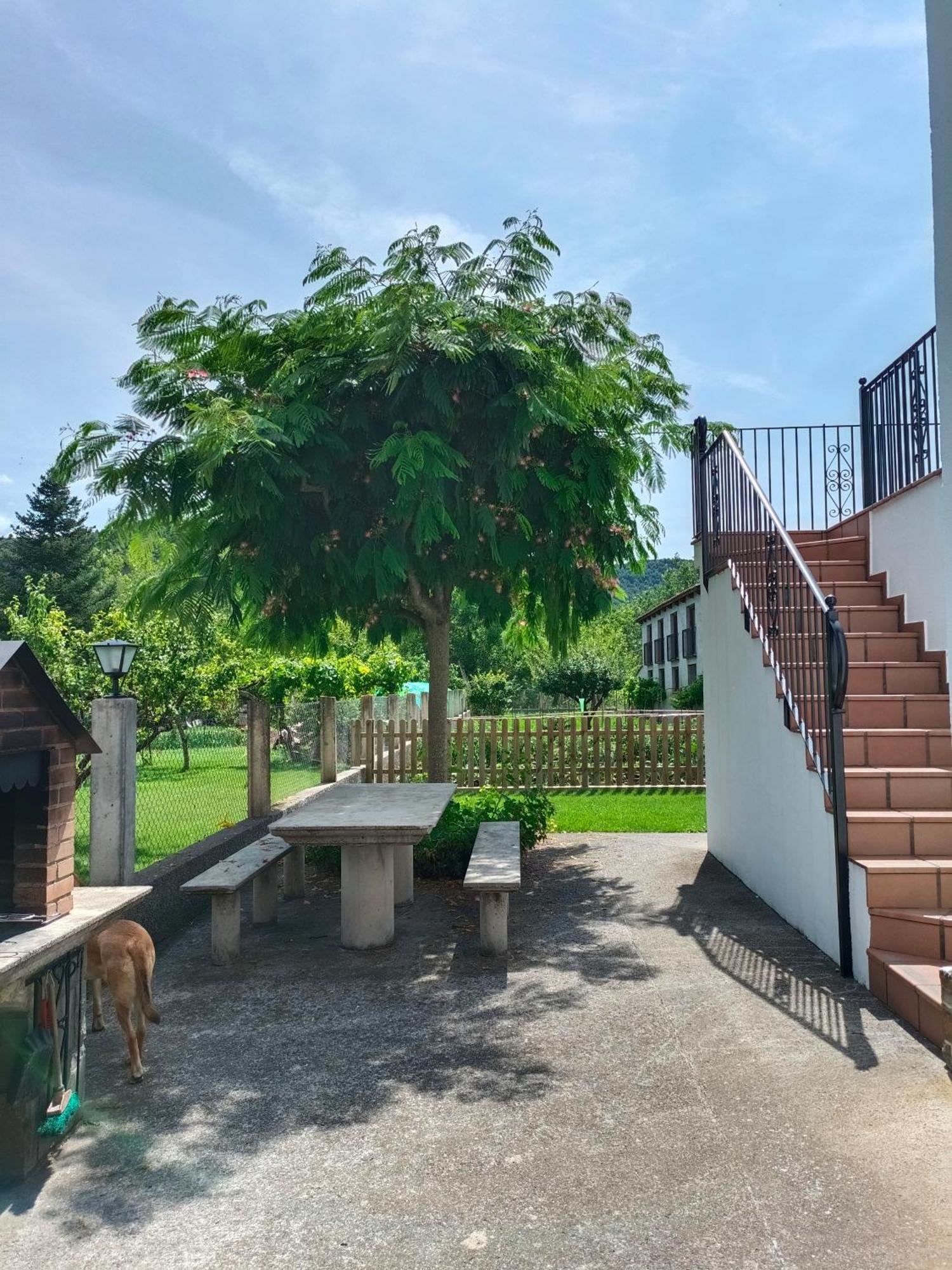 Apartamento Rural Casa Paco Con Jacuzzi Exterior Y Barbacoa Aínsa Exterior photo